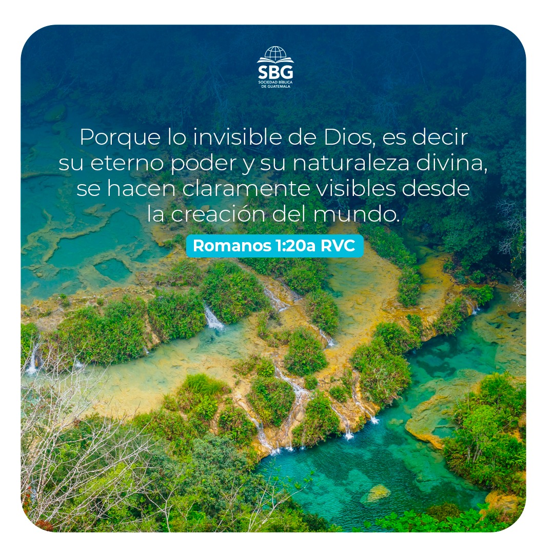 🌤️🦁🍃🌻 Dios ha hecho maravillas en la naturaleza que son reflejo de Su poder y majestad. Como sus hijos y mayordomos de su obra, fuimos llamado a cuidarla.

En SBG tenemos la convicción que hemos sido colocados en la tierra para valorarla, cuidarla y glorificar a Dios a través de ella. ❤️
📖 “Porque lo invisible de Dios, es decir, su eterno poder y su naturaleza divina, se hacen claramente visibles desde la creación del mundo.” Romanos 1:20a RVC
#SBG #sociedadBiblica #Guatemala #MedioAmbiente #GT #Creacion #Mayordomía